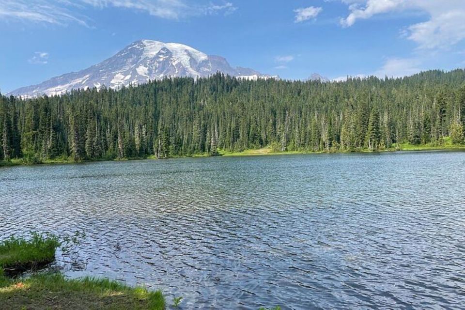 From Seattle: Full-Day Mt Rainier National Park Private Tour - Detailed Tour Description