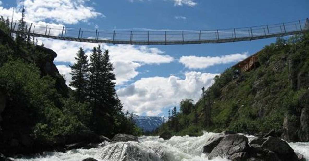 From Skagway: White Pass and Yukon Suspension Bridge Tour - Experience Highlights