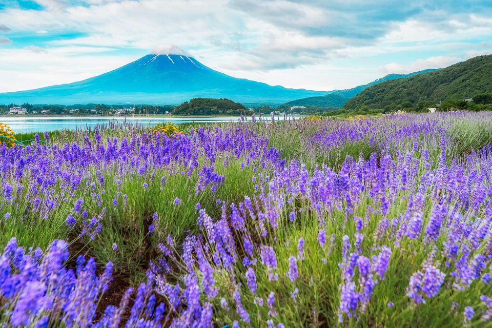 From Tokyo: Mt. Fuji Full-Day Sightseeing Trip - Activity Details