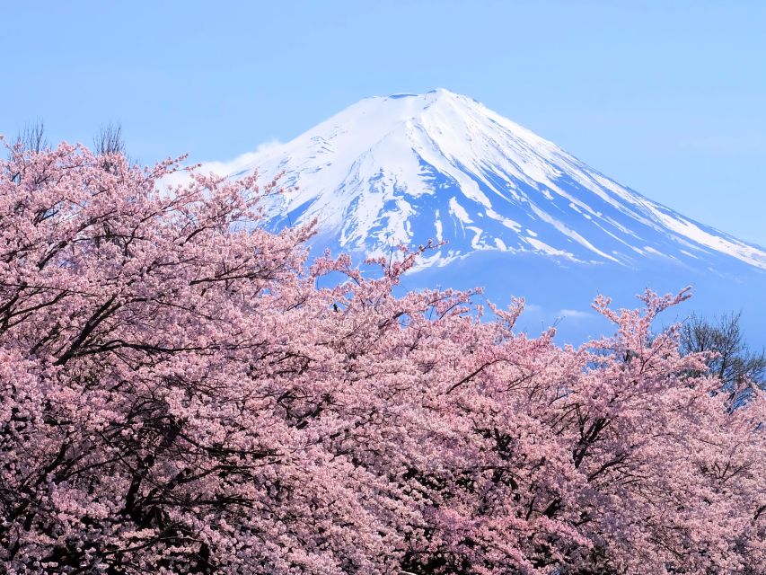 From Tokyo to Mount Fuji: Full-Day Tour and Hakone Cruise - Itinerary Details