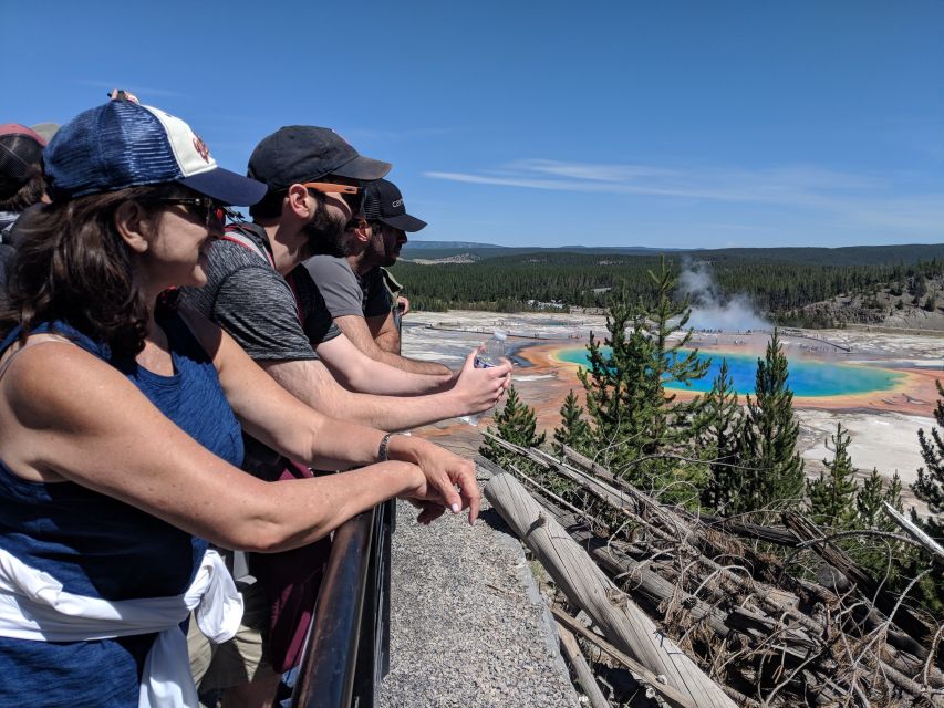 From West Yellowstone: Lower Loop Active Van Tour - Experience Highlights