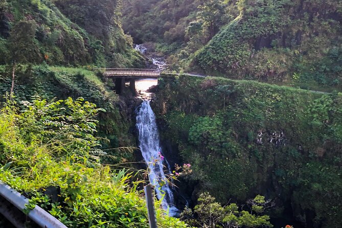 Full-Circle "Reverse" - Luxury Road to Hana Tour From West Maui - Traveler Experience
