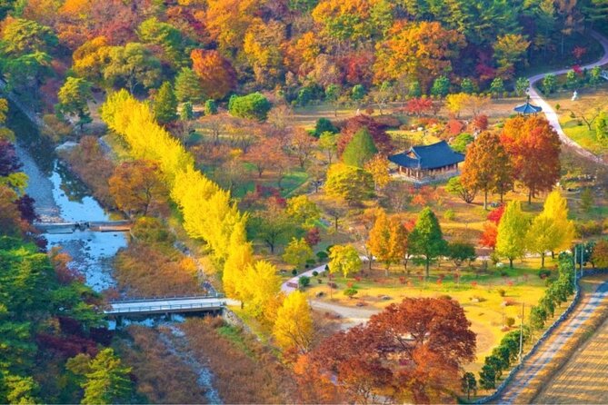 Full-Day Autumn Tour From Busan to Unmunsa Bhikkhuni Temple - Temple Visit Details