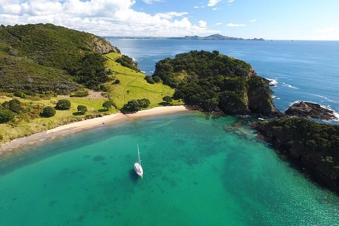 Full-Day Bay of Islands Tour by Vigilant Yacht Charters - Traveler Experiences
