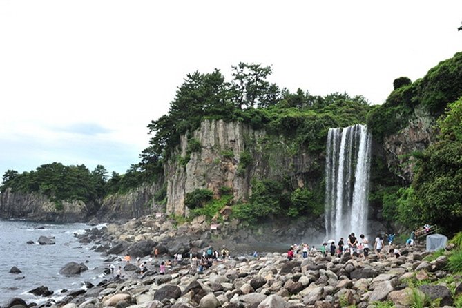 Full-Day Customizable Private Essential Jeju Island Tour for South Course - Customization Options