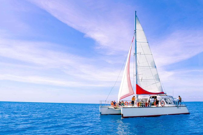 Full-Day Great Barrier Reef Sailing Trip From Cairns - Cancellation Requirements