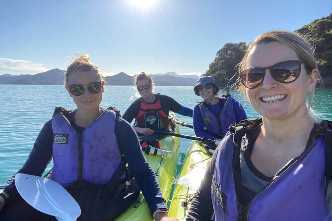 Full-Day Guided Sea Kayak Trip From Picton - Itinerary Highlights
