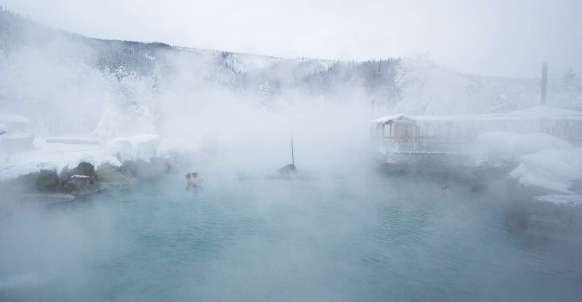 Full Day Ice Museum and Chena Hot Springs Tour - Experience Highlights and Inclusions