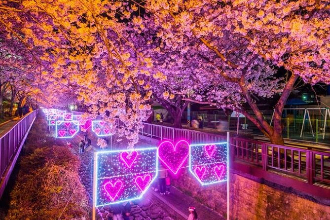 Full-Day Jinhae Cherry Blossom Festival Private Tour - Booking Process