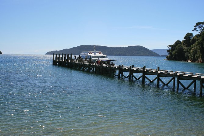 Full-Day Marlborough Catamaran Cruise With Wine Tour and Lunch - Inclusions