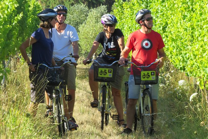 Full-Day Marlborough Wine Region Bike Hire - Inclusions and Highlights