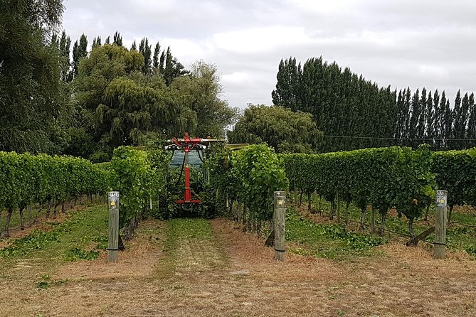 Full-Day Marlborough Wine Tour Including Wine Tasting - Booking and Cancellation Policy