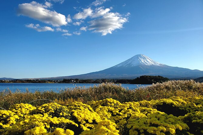 Full Day Mount Fuji Private Tour With English Speaking Guide - Guide Qualifications