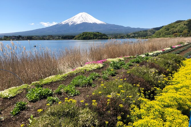 Full Day Mt.Fuji & Gotemba Premium To-And-From Tokyo, up to 12 - Tour Overview Highlights