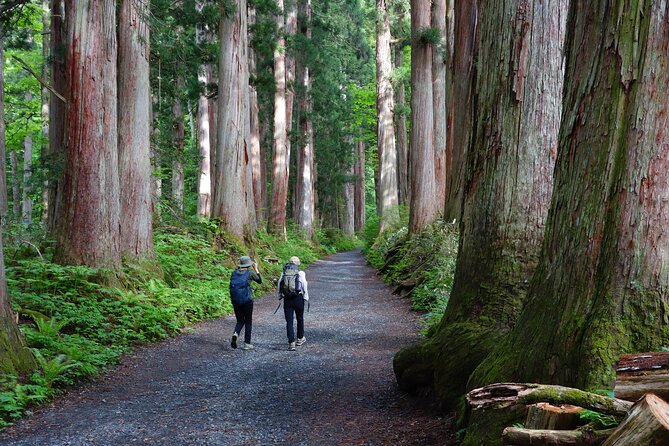 Full Day North Nagano Hiking Experience - Meeting Point Details