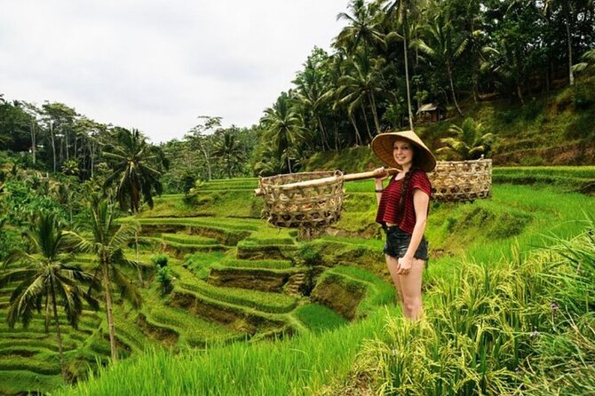 Full Day Private Guided Tour In Bali - Inclusions and Exclusions