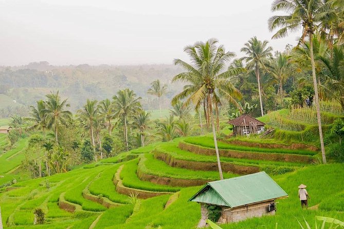 Full-Day Private North Bali Tour With Free Wifi - Logistics and Meeting Points