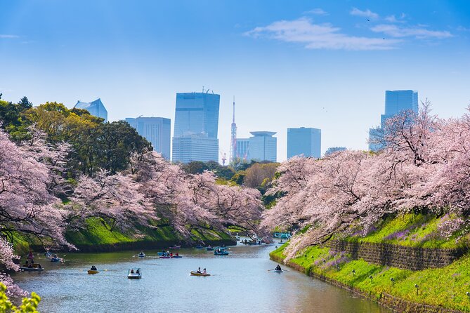 Full Day Private Shore Tour in Tokyo From Tokyo Cruise Port - Refund and Cancellation Policy