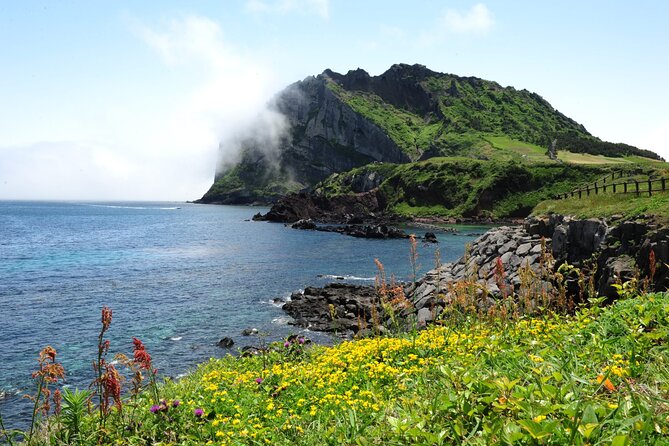 Full-Day Private Tour in Jeju Scenic East Coast - Tour Flexibility