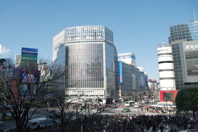 Full-Day Private Tour in New Shibuya - Inclusions and Exclusions