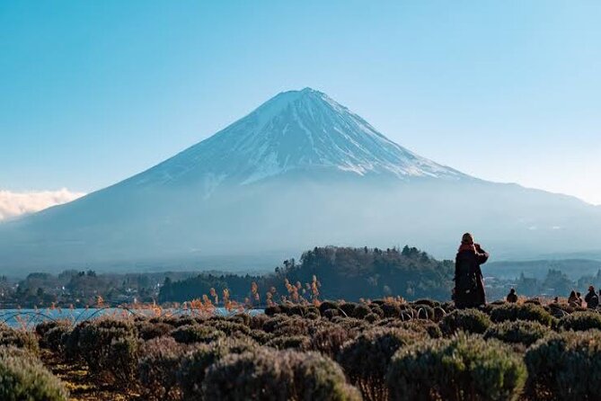 Full Day Private Tour With English Speaking Driver in Mount Fuji - Customer Feedback