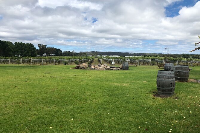 Full-Day Private Wine Tour of the Stanthorpe Area With Lunch - Itinerary Details