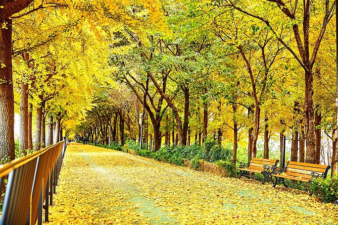 Full-Day Seoul Autumn Foliage Private Guided Tour - Foliage Viewing Spots