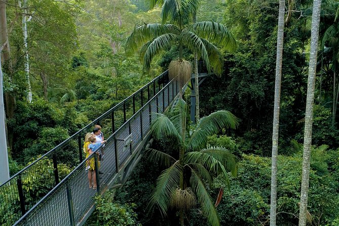 Full-Day Small-Group Outdoor Adventure. Tamborine Mountain  - Brisbane - Customer Reviews & Highlights