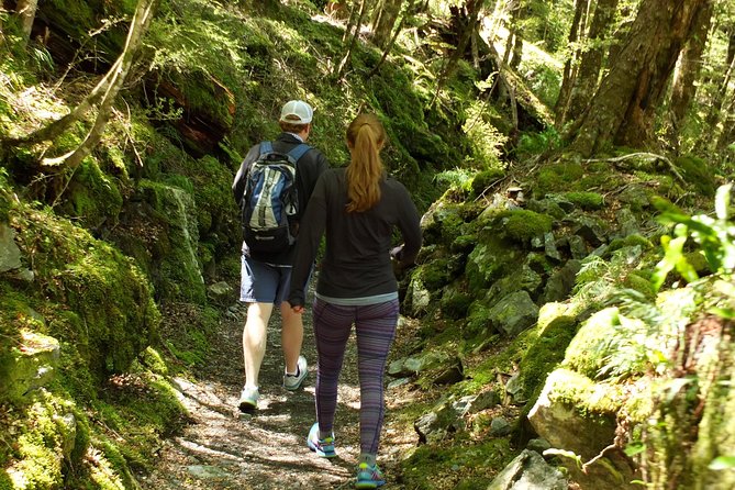 Full-Day Small-Group Routeburn Valley Walk - Guided Walk Experience