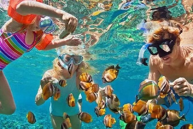 Full Day Snorkeling Activity at Bali Blue Lagoon - Guided Snorkeling Tour Itinerary