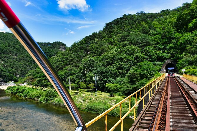 Full Day Strawberry Picking and Rail Bike in Nami Island - Cancellation Policy Details