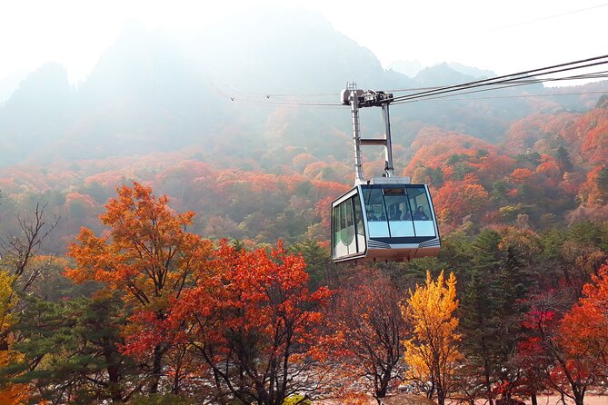 Full-Day Tour in Seoraksan & Nami (Rail Bike Option) - Tour Inclusions