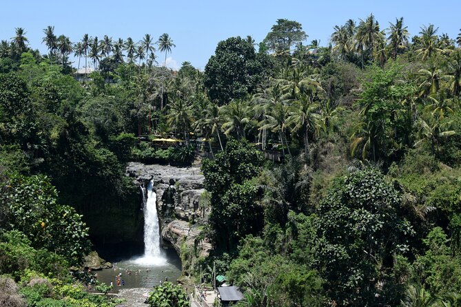 Full Day Tour to Best of Ubud With Jungle Swing - Pricing Details