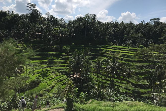 Full-Day Ubud Cultural Tour - Itinerary Details and Inclusions