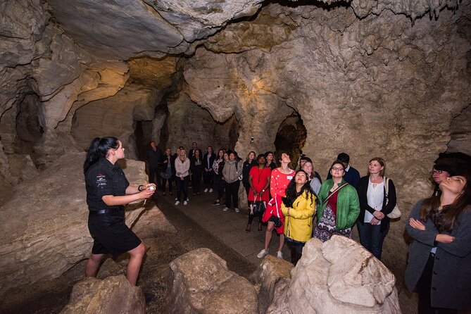 Full Day Waitomo Glow Worm Cave and Kiwi House Tour - Itinerary Details
