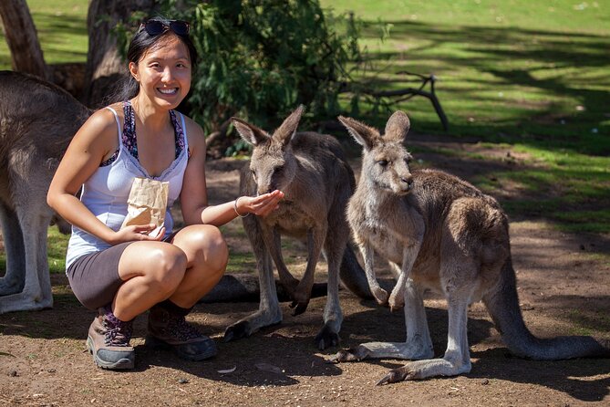 Full-Day Waterfalls, Wilderness & Wildlife Hobart Tour - Customer Support and Assistance