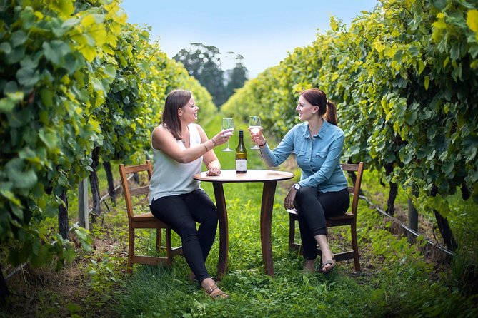 Full-Day Wine Tour From Blenheim - Important Information