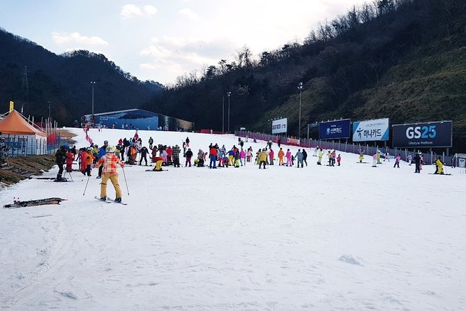 Gangchon Elysian Ski Day Trip From Seoul - Ski Resort Overview and Activities