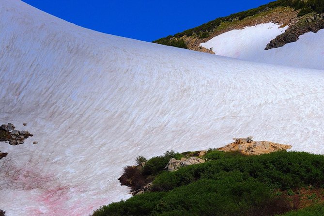 Glacier Hiking & Geothermal Cave Pools Pictures Day Tour in Idaho Springs - Traveler Experience