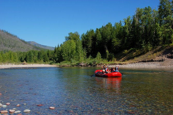 Glacier National Park Scenic Float - Customer Feedback Insights