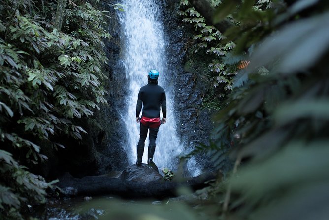 Glowworm Canyoning Adventure - Private Tour From Auckland - Pricing Details