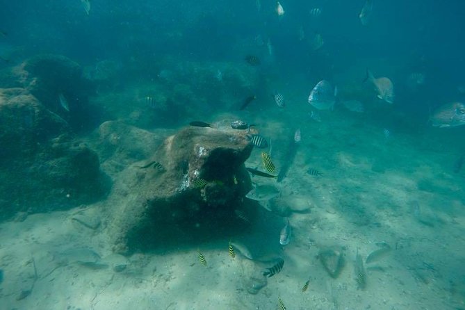 Gold Coast Try-Scuba Experience at Wave Break Island - Pickup Details