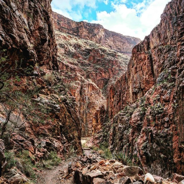 Grand Canyon Backcountry Hiking Tour to Phantom Ranch - Experience