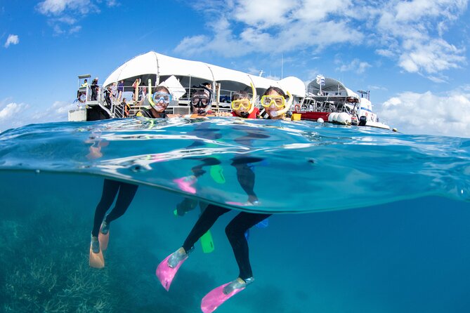 Great Barrier Reef Adventure From Cairns Including Snorkeling - Experience Details and Itinerary