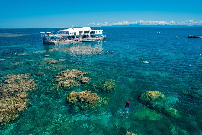 Great Barrier Reef Full-Day Snorkeling Cruise From Cairns  - Cairns & the Tropical North - Included Activities and Services