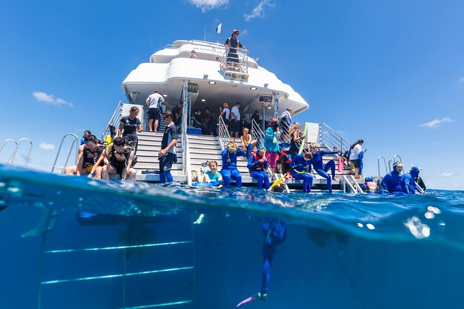 Great Barrier Reef Snorkeling and Diving Cruise From Cairns - Crew and Organization Praise