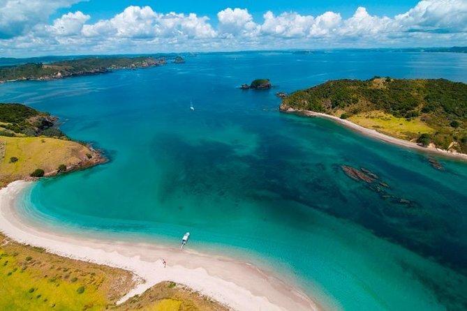 Group Tour to Bay of Islands Return From Auckland - Traveler Tips