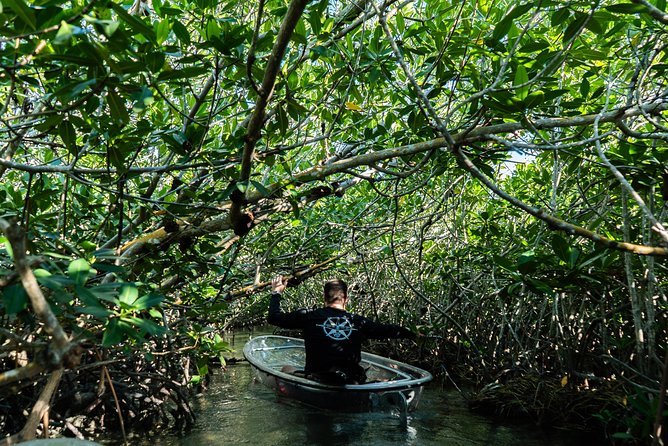 Guided Clear Kayak Eco-Tour Near Key West - What To Bring