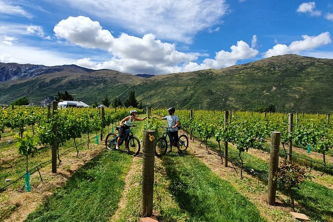 Guided Ebike Wine Tour Ride to the Vines - Itinerary Details