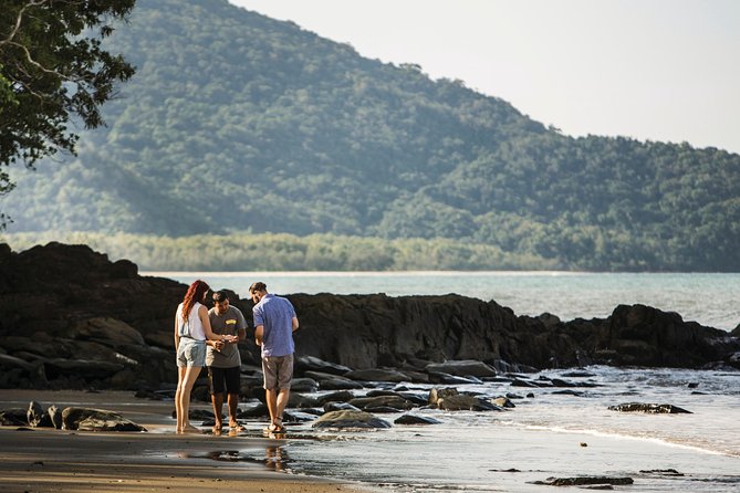 Guided Half-Day Tour of Daintree Rainforest  - Port Douglas - Meeting and Pickup Details